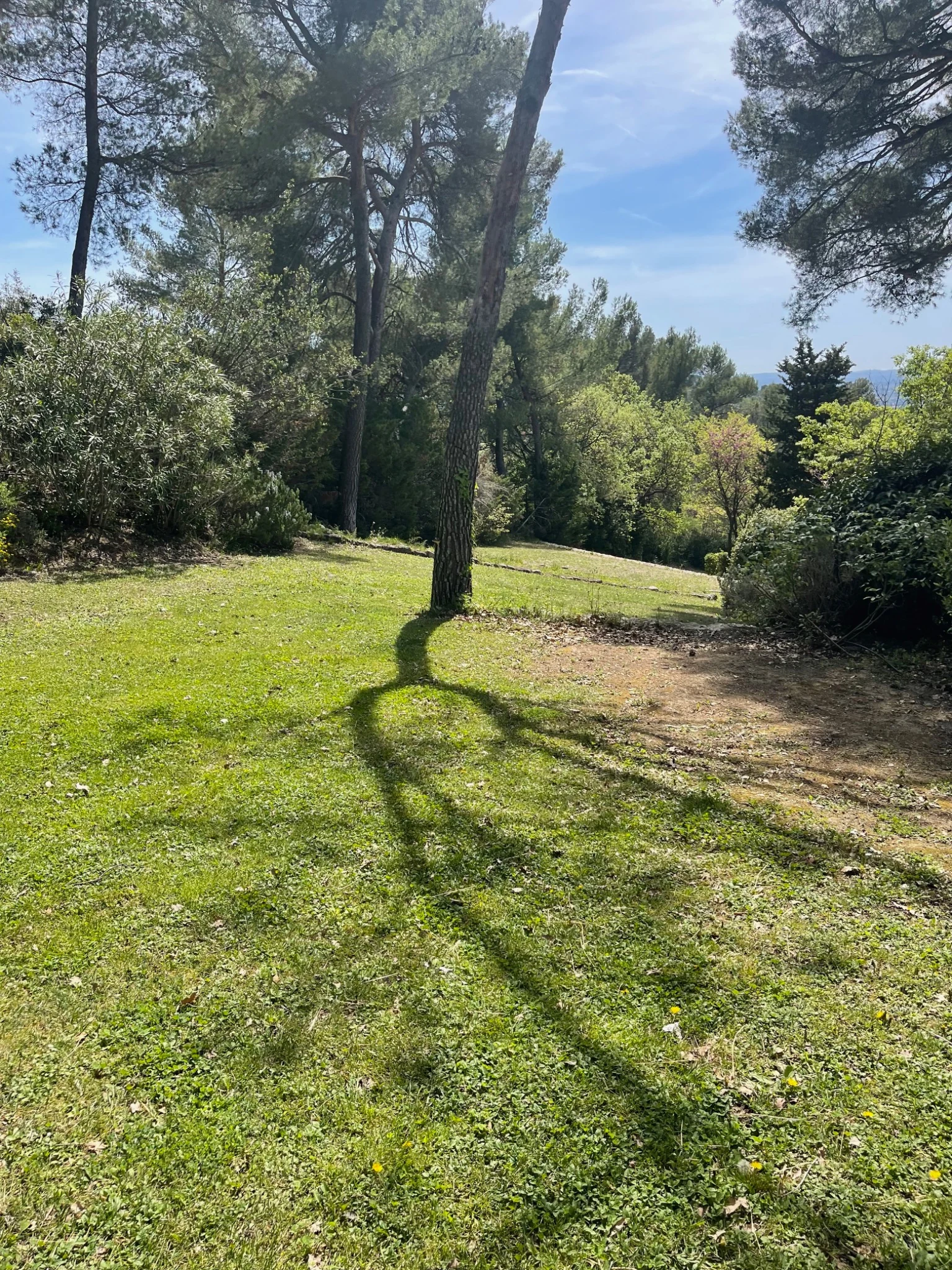 Pelouse et jardin entretenus par Lemaire Environnement