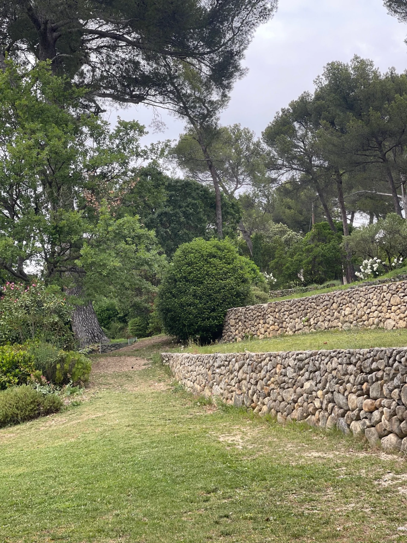 Restanques et murs de pierre dans un jardin méditerranéen