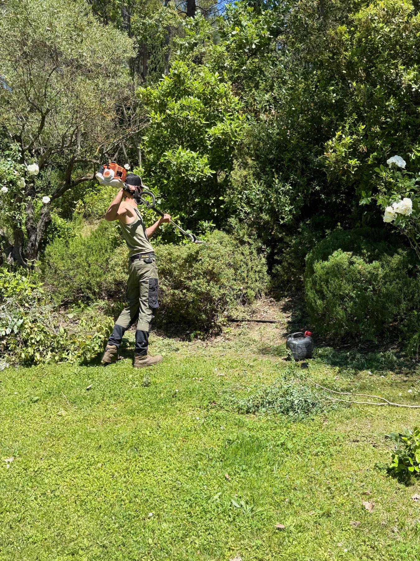 Taille d’arbustes en cours dans un jardin entretenu par Lemaire Environnement